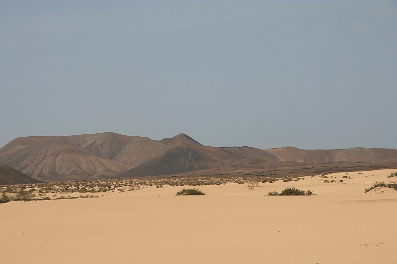 Kanary_2010 085